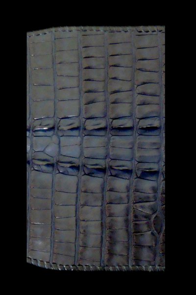 Photo2: Crocodile Tail W-Spine Long Wallet