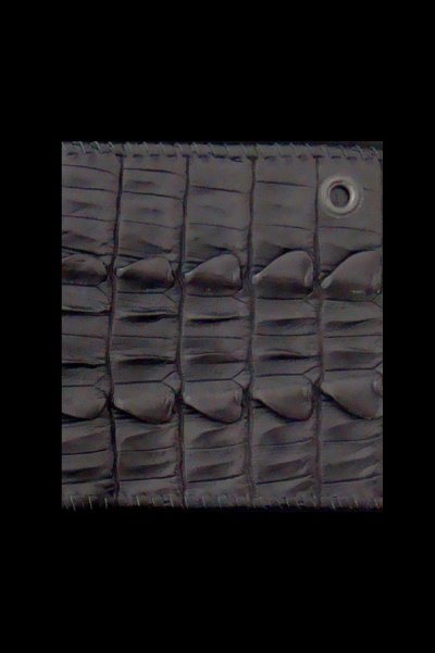 Photo2: Crocodile Tail W-Spine(L) Half Wallet