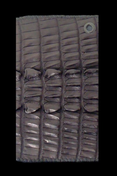 Photo2: Crocodile Tail Doble Spine(L) Long Wallet