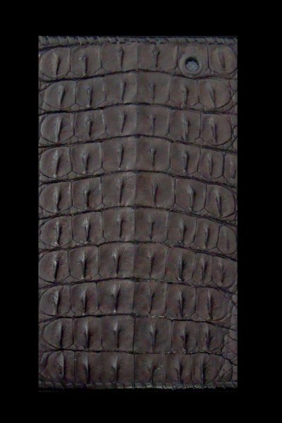 Photo2: Crocodile Horn Back Long Wallet