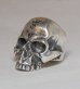 Photo3: Large Skull Ring Without Jaw