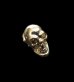 Photo1: 18k Gold Twelve Small Skull Pierce (Screw type) (1)