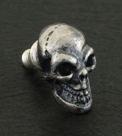 Photo2: Twelve Small Skull Pierce