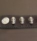 Photo5: 8Skull Crocodile Leather Wrist band (5)