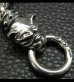 Photo10: Stud Bolo Neck Old Bulldog With 4Skulls & Small Oval Links Bracelet