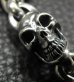 Photo17: Stud Bolo Neck Old Bulldog With 4Skulls & Small Oval Links Bracelet