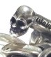 Photo3: Half 2Old Bulldog With Half Skull Links Bracelet