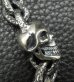 Photo12: Single Skull With Textured Small Oval Chain Links Bracelet