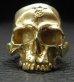 Photo11: 10k Gold Large Skull Without Jaw Ring(Mud Finish)