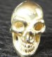 Photo3: Gold Twelve Small Skull Pierce