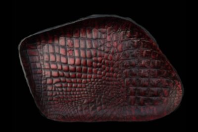 Photo1: Gaboratory Alligator Textured Leather Gun Tray [Red]