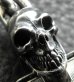 Photo14: Single Skull Key Hook