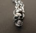 Photo2: Quarter Skull & 6Chain Necklace (2)