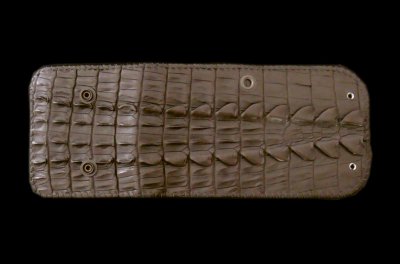 Photo1: Crocodile Tail W-Spine(L) Half Wallet