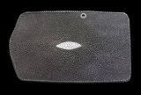 Stingray(Star) Long Wallet