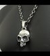 Photo14: Giant Skull Without Joe Pendant