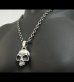 Photo12: Giant Skull Without Joe Pendant