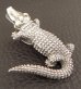 Photo6: Alligator Pendant