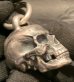 Photo18: Large Skull Full Head Pendant (Early model)