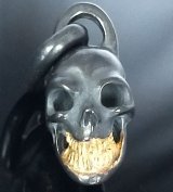 Single Skull With Pure Gold Wrap Teeth Pendant