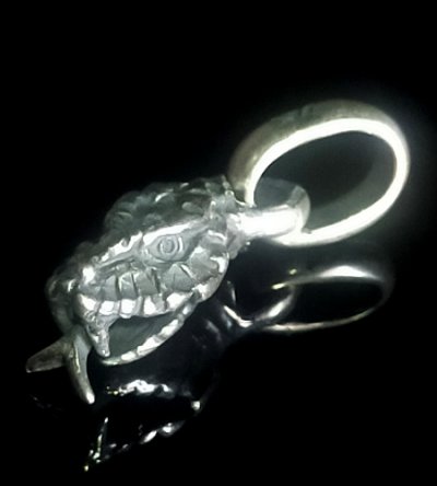 Photo1: Snake Head Pendant