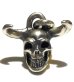 Photo11: Father of Ultra Skull Pendant