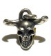 Photo10: Father of Ultra Skull Pendant