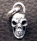 Photo6: Half Size Single Skull Pendant