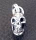 Photo7: Half Size Single Skull Pendant