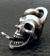 Photo8: Single Skull With Snake Tongue Pendant