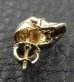 Photo6: Gold Twelve Small Skull Pierce (Screw type)