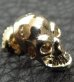 Photo5: Gold Twelve Small Skull Pierce (Screw type)