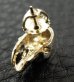 Photo3: Gold Twelve Small Skull Pierce (Screw type)