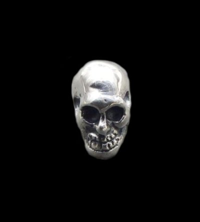 Photo1: T-bar skull pierce