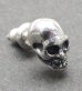 Photo2: T-bar skull pierce (2)