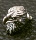 Photo12: Quarter Eagle Pierce