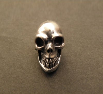 Photo2: Skull Pins