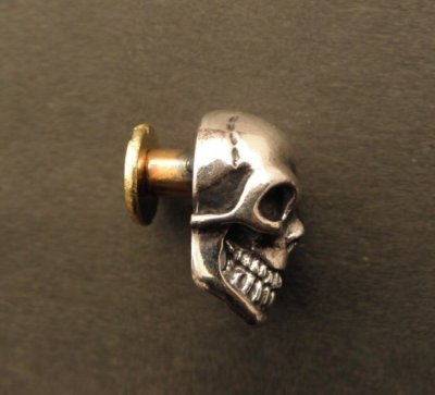 Photo3: Skull Pins