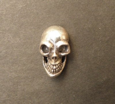 Photo2: Skull Pins