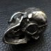 Photo6: Old Large Skull Pen Stand