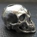 Photo12: Old Large Skull Pen Stand