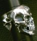 Photo18: Xconz collaboration 4 Face Skull Ring