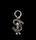 Photo1: Quarter Skull On Snake Pendant (1)