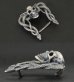 Photo3: Skull on Snake Belt Buckle (3)