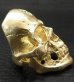 Photo5: Gold Large Skull H,W,O Ring [Pure Gold Color Finish]