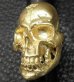 Photo13: Gold Large Skull H,W,O Ring [Pure Gold Color Finish]