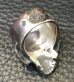 Photo13: Medium Large Skull Ring Without Jaw