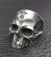 Photo11: Medium Large Skull Ring Without Jaw