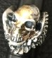 Photo8: 18k Gold Blood Face Skull Wing Ring