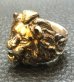 Photo6: 18k Gold Blood Face Old Lion Ring